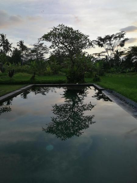 Kishi-Kishi Ubud Villas Exterior photo